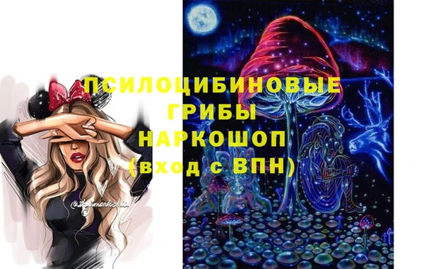 ешки Алексин
